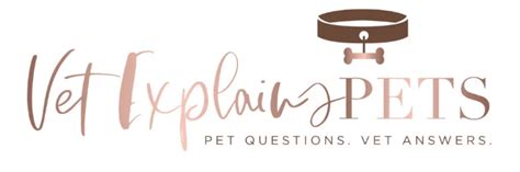 Why Do Dogs Anal Glands Leak – [Vet Explains Pets]